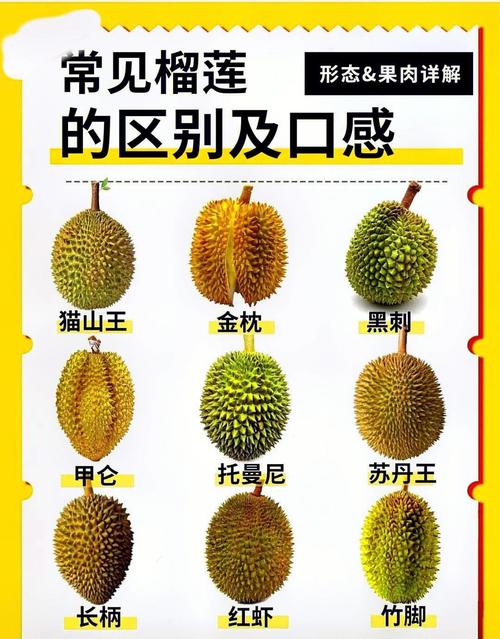 疊花石榴品種,疊花石榴品種介紹