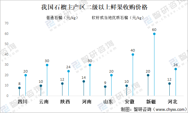 河陰石榴産業現狀圖表最新,河陰石榴産業現狀圖表最新消息