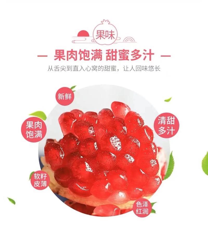 石榴品種與價格,石榴品種與價格表