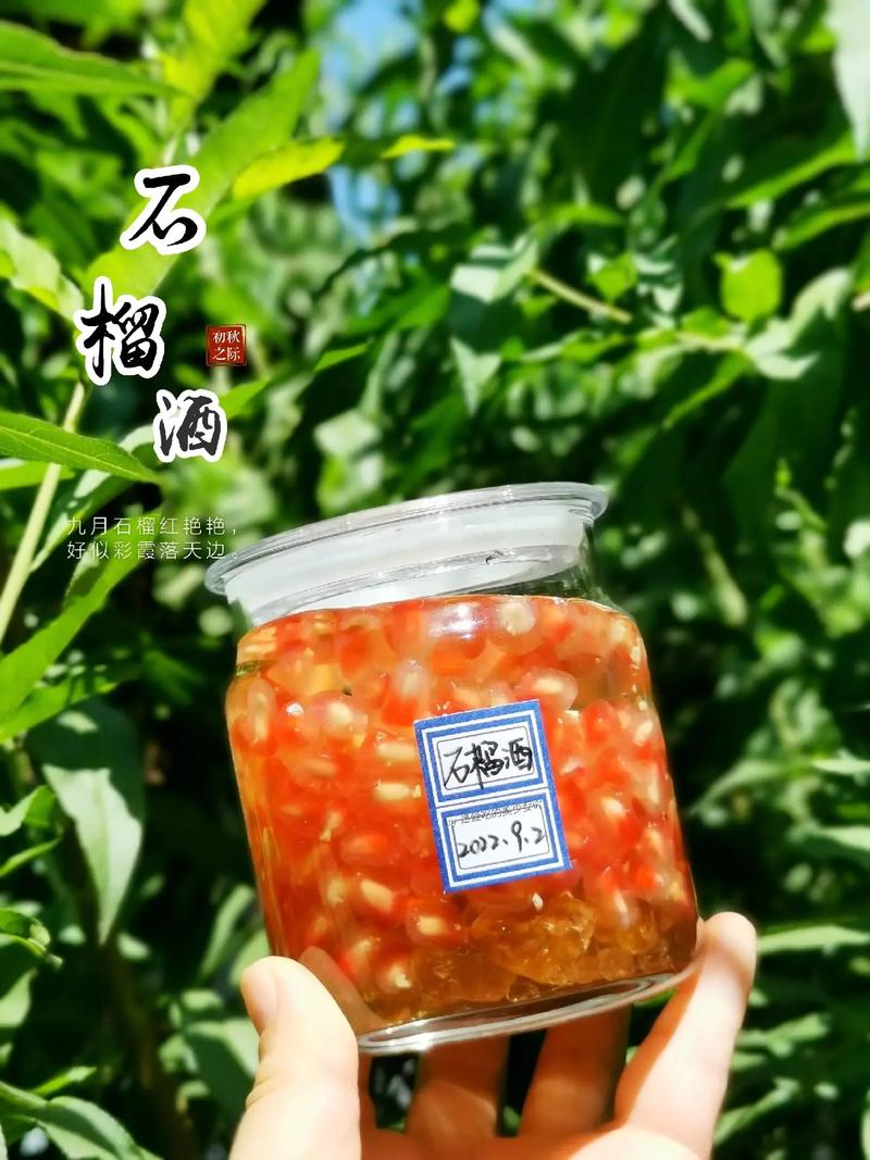 石榴泡酒選什麽品種石榴,石榴泡酒用什麽品種的石榴比較好?