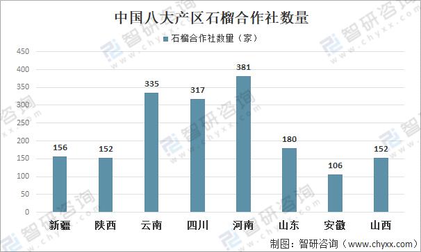 河陰石榴産業現狀分(fēn)析圖,河陰石榴産業現狀分(fēn)析圖片