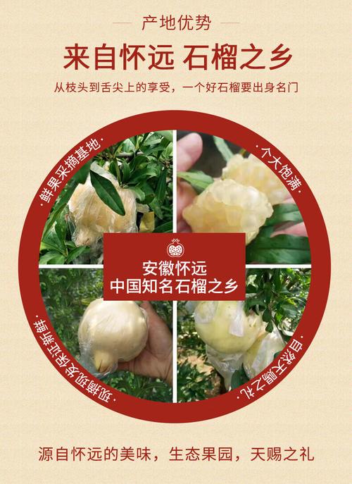 白(bái)玉石榴品種,白(bái)玉石榴品種介紹