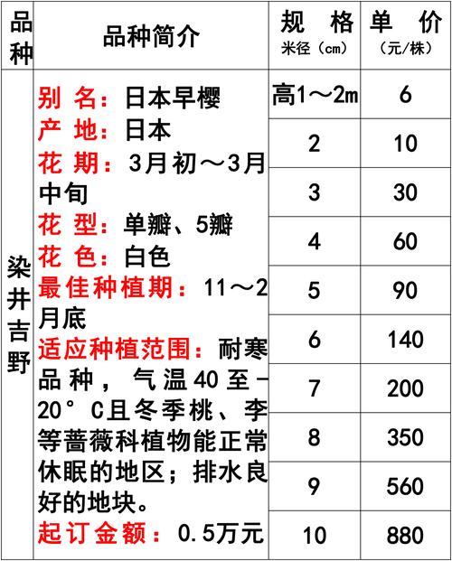 日本石榴苗價格,日本石榴苗價格多少