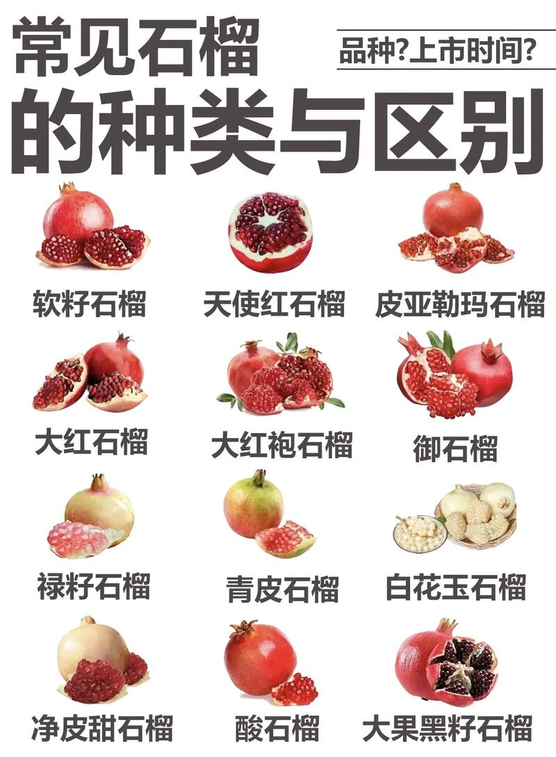 石榴品種怎麽辨認品種大(dà)小(xiǎo),石榴品種怎麽辨認品種大(dà)小(xiǎo)的