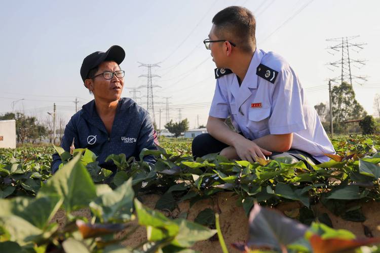 石榴滞銷價格,石榴滞銷價格是多少