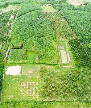 河陰石榴基地航拍圖,河陰石榴基地航拍圖片